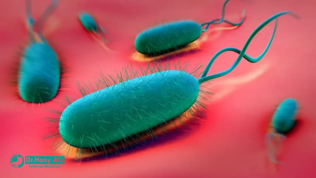 افضل دكتور لعلاج جرثومة المعدة في مصر