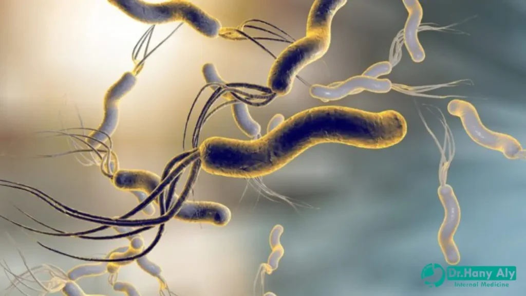 هل جرثومة المعدة معدية